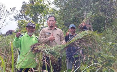 Panen Perdana Tanaman Empon-empon